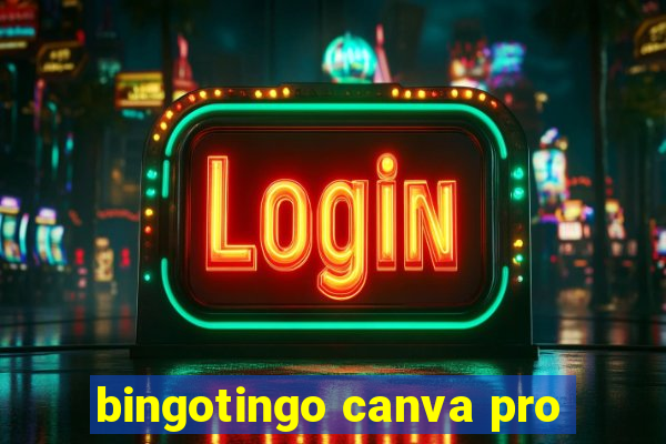 bingotingo canva pro